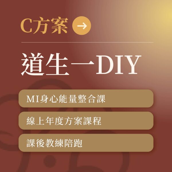 C方案-道生一DIY
